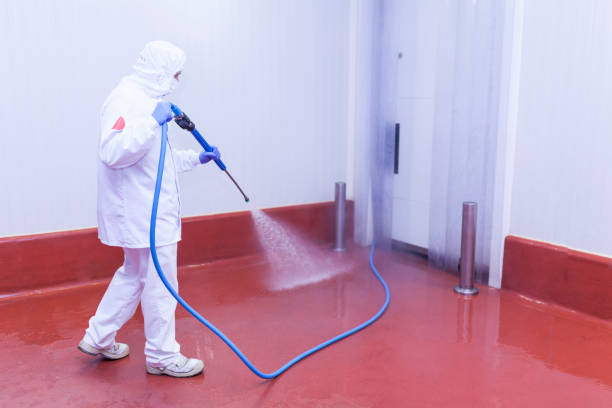 Spring Cleaning in Landisville, PA